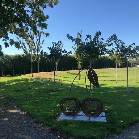 Self Contained Gem In The Country, Near To Town Ξενοδοχείο Twyford Εξωτερικό φωτογραφία