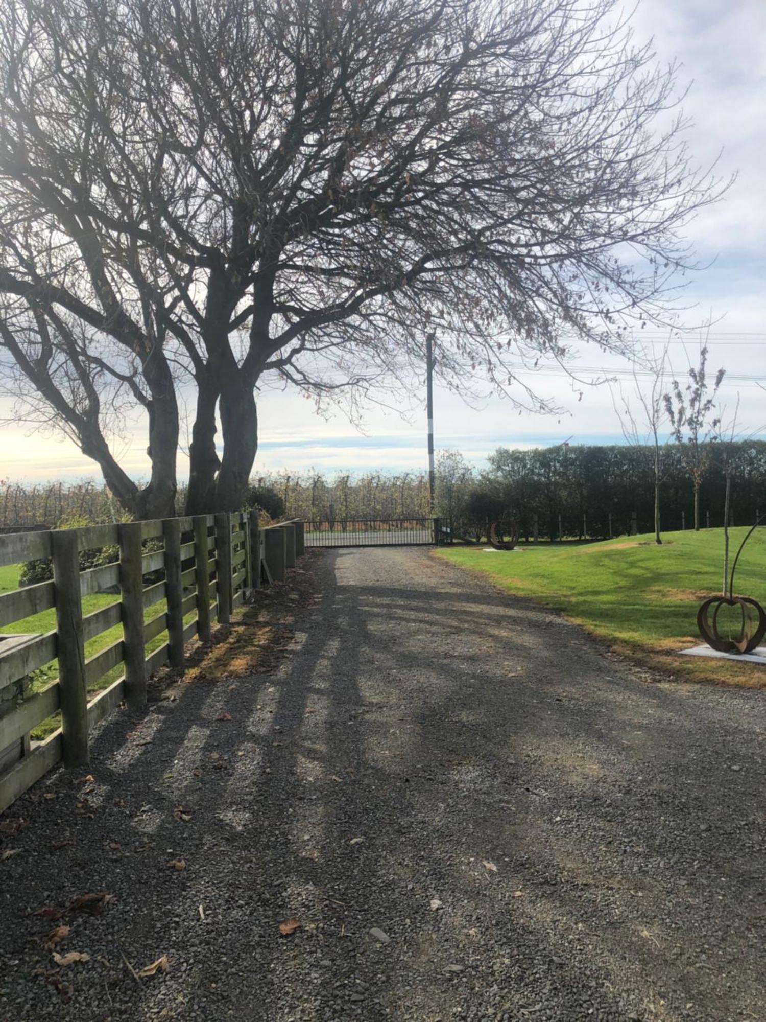 Self Contained Gem In The Country, Near To Town Ξενοδοχείο Twyford Εξωτερικό φωτογραφία